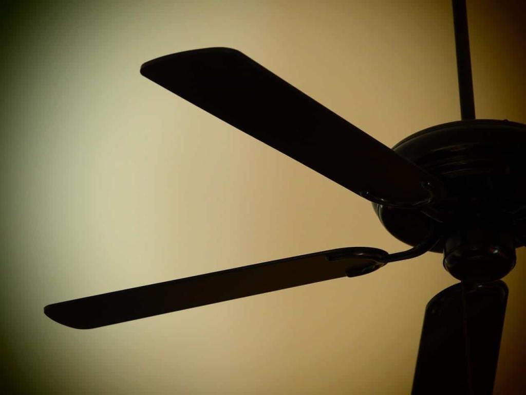 ceiling fan, fan, decorate-1333756.jpg