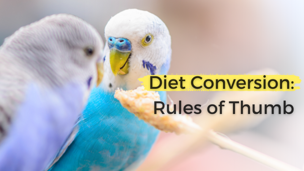 Food And Nutrition Archives The Budgie Academy preview