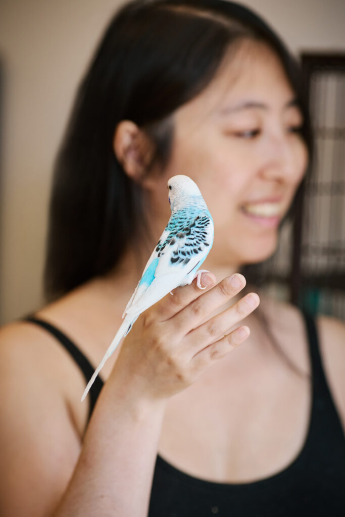 Dr. Amy Zhao with her budgies