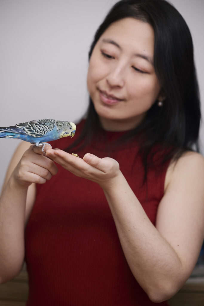 Dr. Amy Zhao